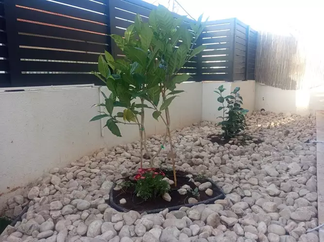 הקמה ועיצוב גינה פרטית אחרי 2